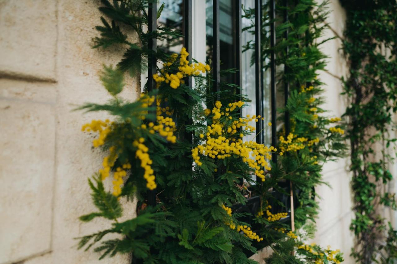 La Belle Endormie B&B French Guest House Μπορντό Εξωτερικό φωτογραφία